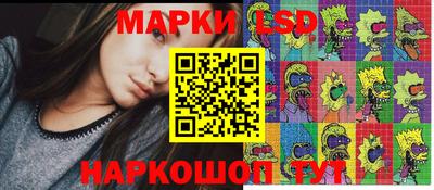 шишки Гатчина