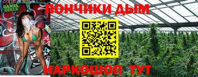 шишки Гатчина