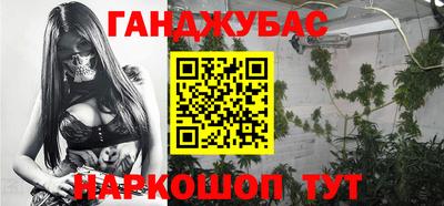 шишки Гатчина