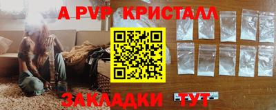 шишки Гатчина