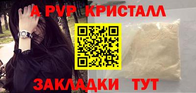 шишки Гатчина