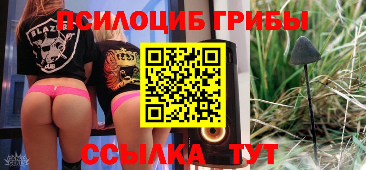 Галлюциногенные грибы Cubensis Гуково