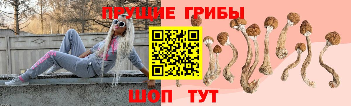 Галлюциногенные грибы Psilocybine cubensis  Вход с VPN  Гуково  Псилоцибиновые грибы мицелий 